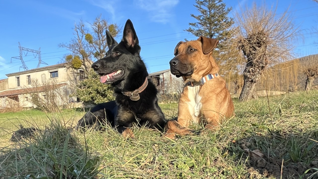 Thor & Mira